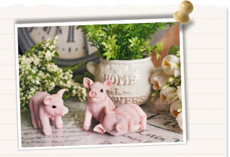 LUCKY PIG